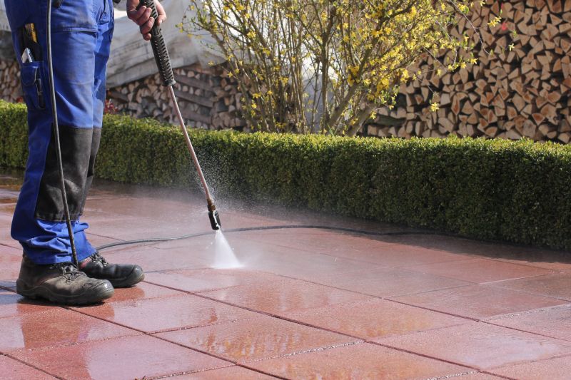 Patio Cleaning detail
