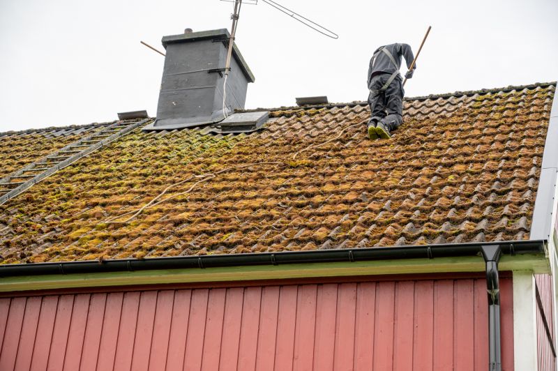 Moss and algae removal from roofs