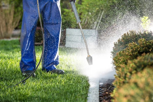 Curb Cleaning in Chapel Hill