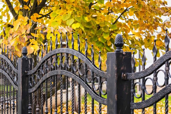 Wrought Iron Fence Washing in Chapel Hill