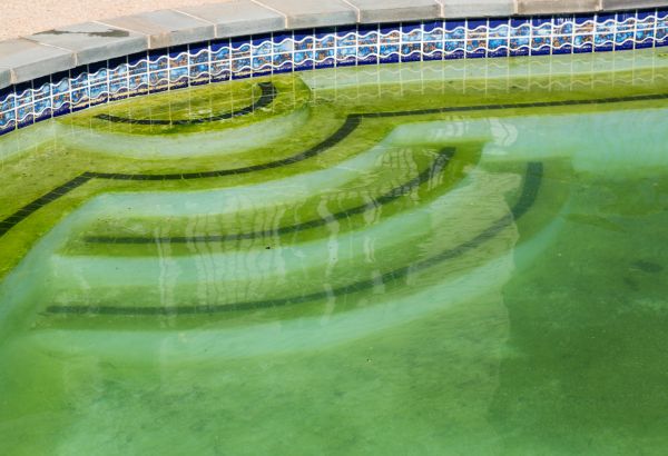 Pool Deck Algae Removal in Chapel Hill