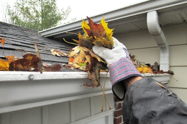 Eaves Cleaning in Chapel Hill