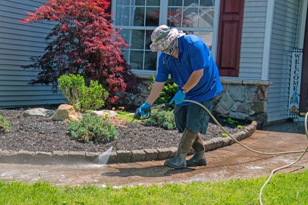 Brick Walkway Cleaning in Chapel Hill